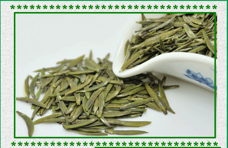 00000000.gif 00000000.gif