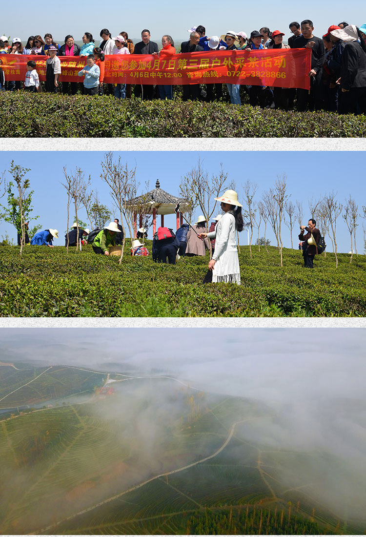 2018040839126081.jpg 2018040839126081.jpg