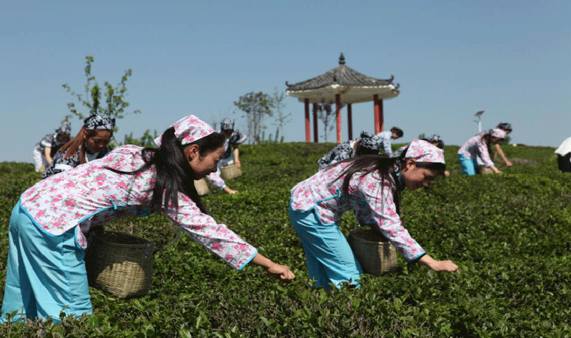 圖片6.gif 圖片6.gif