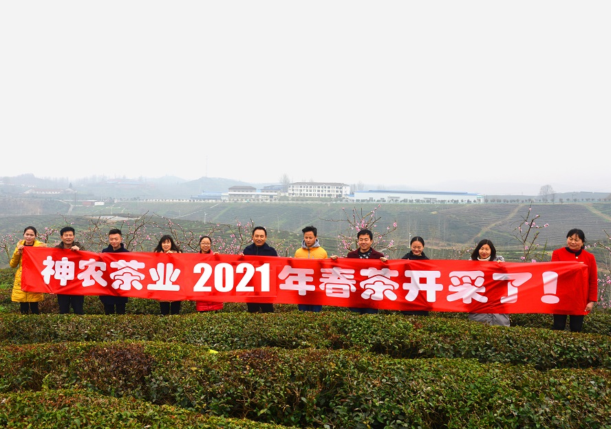 微信圖片_20210311083714.jpg 微信圖片_20210311083714.jpg