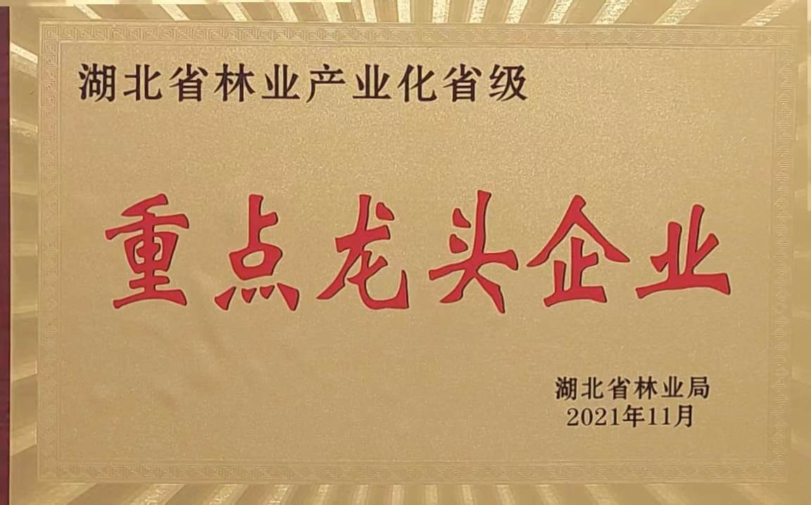 省林業(yè)產(chǎn)業(yè)化重點(diǎn)龍頭企業(yè)(2021.11).jpg 省林業(yè)產(chǎn)業(yè)化重點(diǎn)龍頭企業(yè)(2021.11).jpg